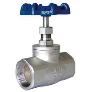 Casting Globe Valve, WCB, 1/2 Inch, 150#, NPT End