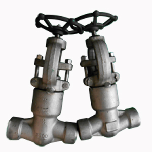 PSB Globe Valve, ASTM A182, 1/2 Inch, CL2500, SW