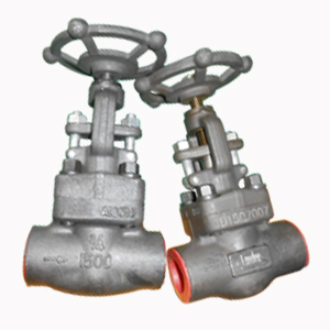 Socket Welded Globe Valve, ASTM A105, 3/4 Inch