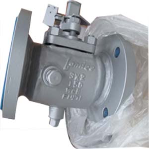 Steam Jacketed Plug Valve, PTFE Sleeve, 50mm - Landee